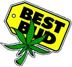 Now This Is Certified Weed Smoking Anthem of 2012
