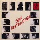 Self Destruction cover