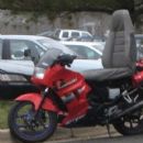 Does it have a seatbelt too?