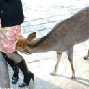 This is how Santa's deer check to see if you've been naughty or nice...