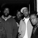 The Roots