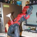 A spidey nut