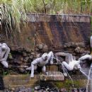 Would you take a drink from this fountain?