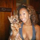 Diznee and some species of rat-dog