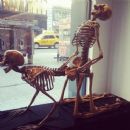 Maybe I will donate my body to science...