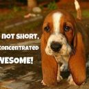 Short folks need love too...