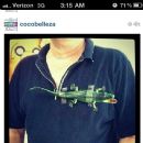 Lacoste?