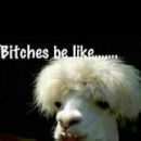 Hilarious!