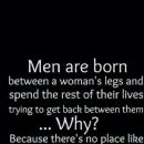 Yeah...pretty much...