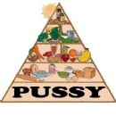 Wouldn't this be awesome if this was how the food pyramid was really set up?