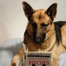 Who says an old dog can't learn new tricks?