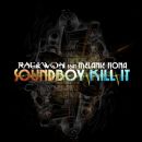 Raekwon feat. Melanie Fiona's "Soundboy Kill It" cover