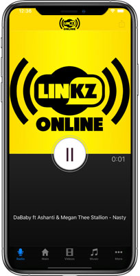 LinkzOnline iPhone App