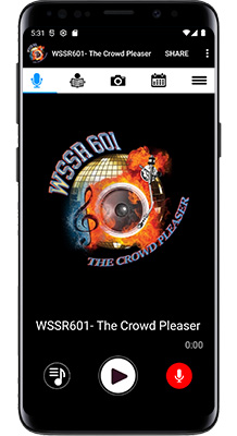 WSSR601- The Crowd Pleaser Android App