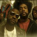 The Roots