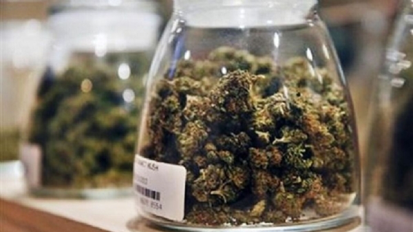 Cannabis Is Now Legal In NYC