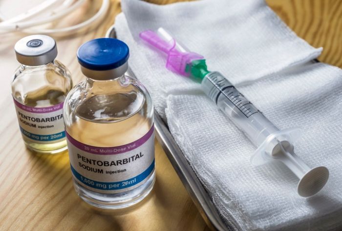 Wisconsin Woman Wanted To Be Widowed: Poisons Veterinarian Husband With Pet Euthanasia Drugs