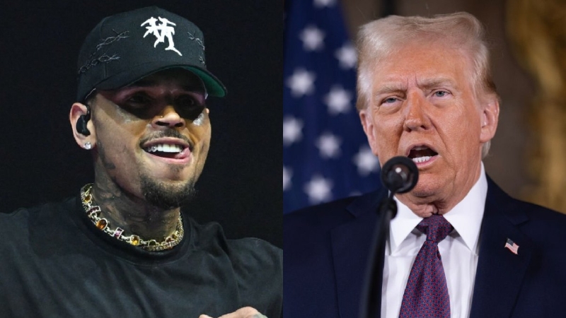 Chris Brown Wants Trump To Be On $100 Bill If He Shuts Down IRS