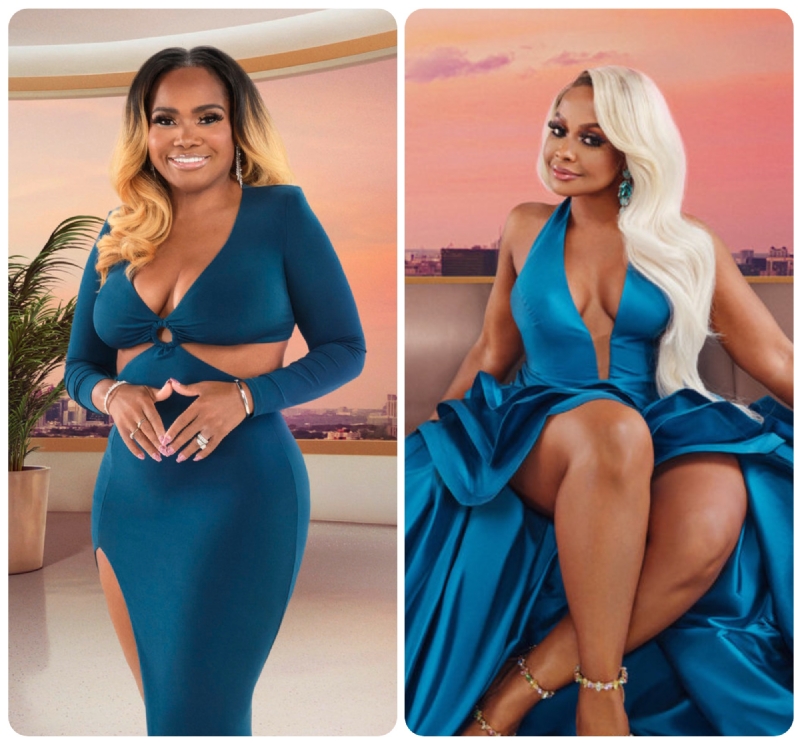 #MarriedToMessiness Dr. Heavenly Kimes Questions Whether Phaedra Parks Donated $47K To The Med Gala,
