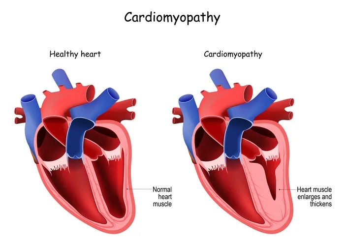 Sybil Wilkes Exclusive: King McClure, Jared Butler And Heart Experts T