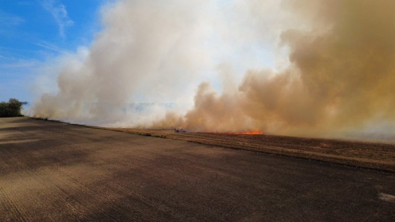 Field fire impacts 50 acres near Logansport