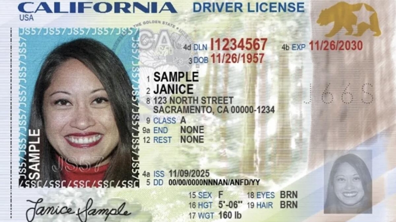 Here's the latest design for the newly issued California driver's license