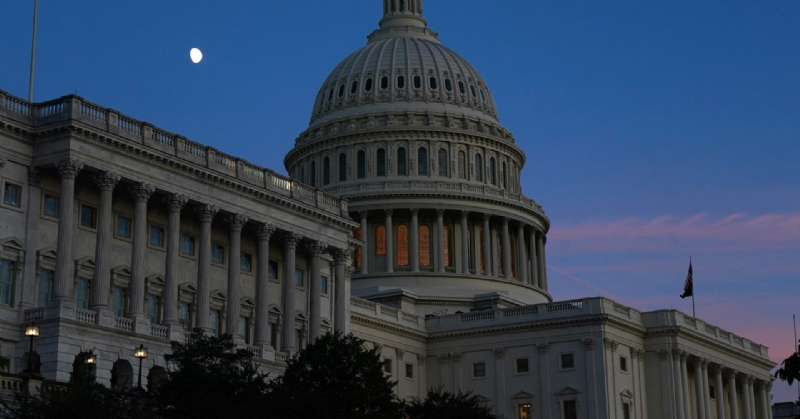 Morning Bid: US politics can't shut down the animal spirits