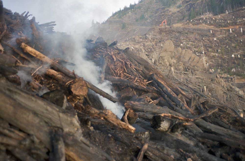 Fire reported in Clatsop State Forest
