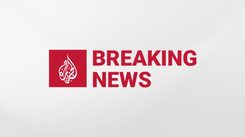 Israeli military intercepts Gaza Freedom Flotilla vessels: Report