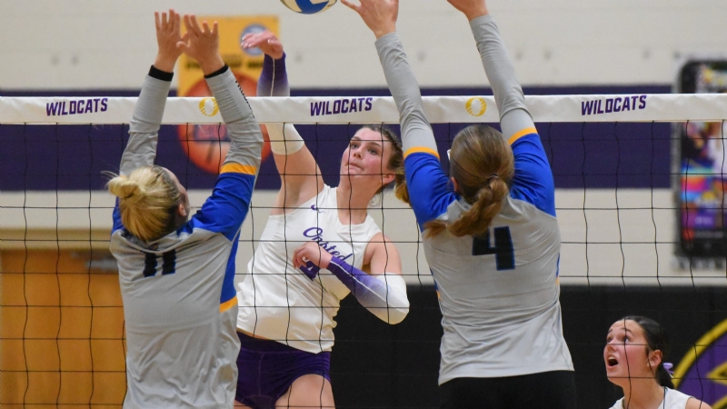 A pair of Lenawee County's best met on the hardwood on Monday for a classic volleyball battle