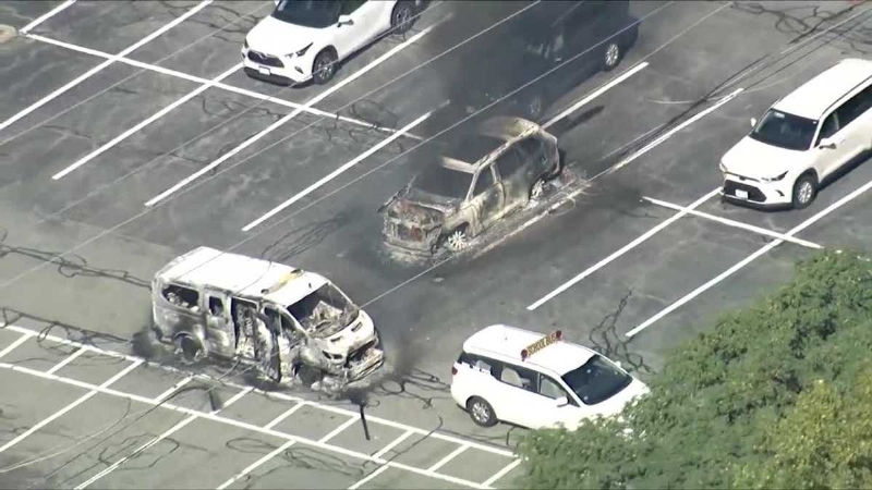 Vehicles catch fire, power lines down in Waltham parking lot