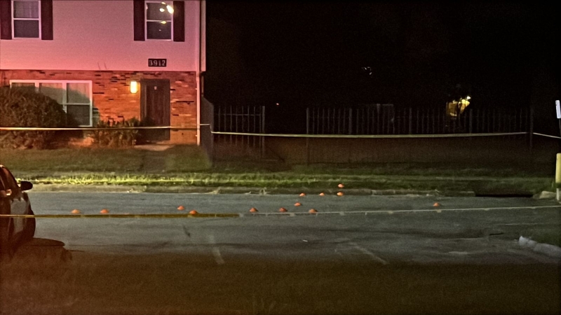 Several police cruisers investigating scene on Danube Lane