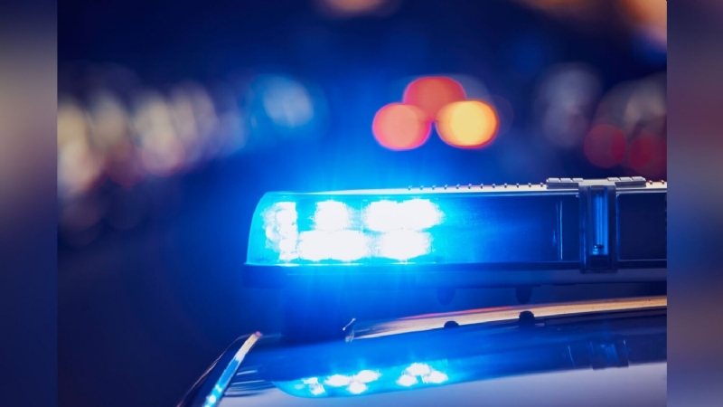 Man with felony warrant arrested in Taylorsville