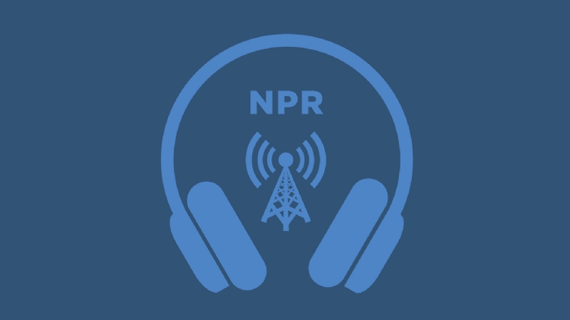 Politics chat: No Kings protests across the U.S., Trump talks with Putin and Zelenskyy