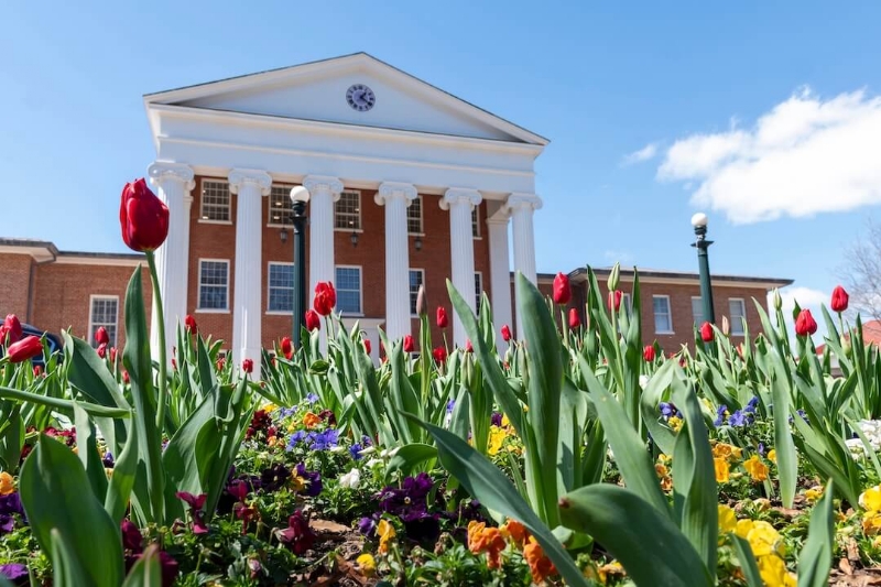 Estate of Bessie Ford establishes $1.2 million Ole Miss scholarship fund