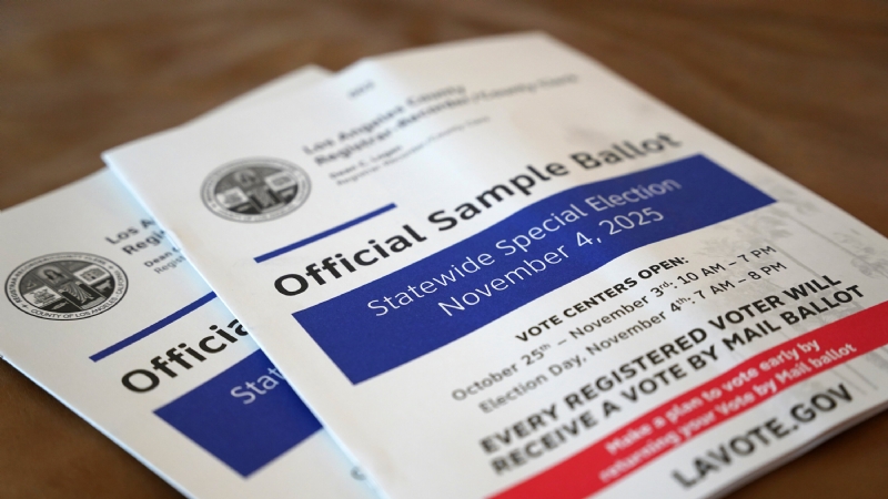 Your November Election Guide (Yes, This November)