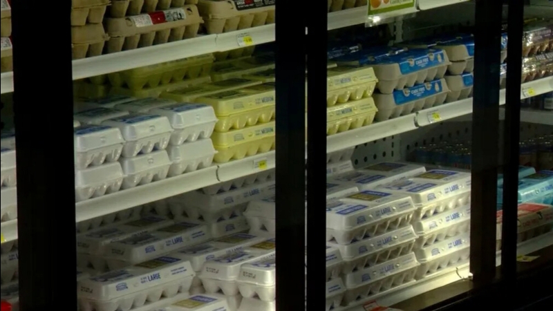 Nearly 2 million Illinoisans set to lose SNAP benefits amid congressional stalemate