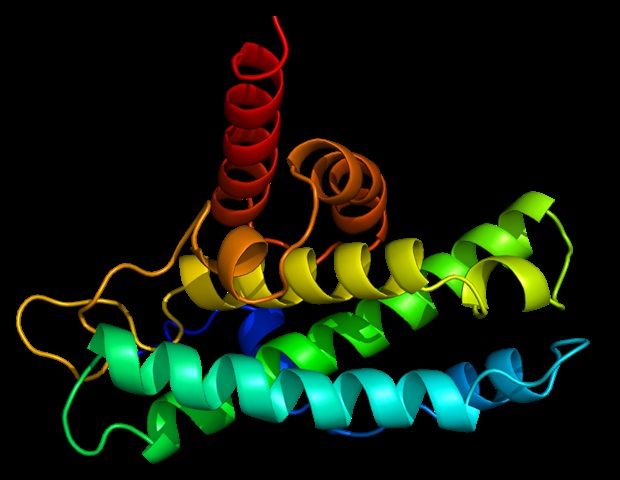 Study reveals protein plaques in neurodegeneration function as enzymes, breaking down ATP