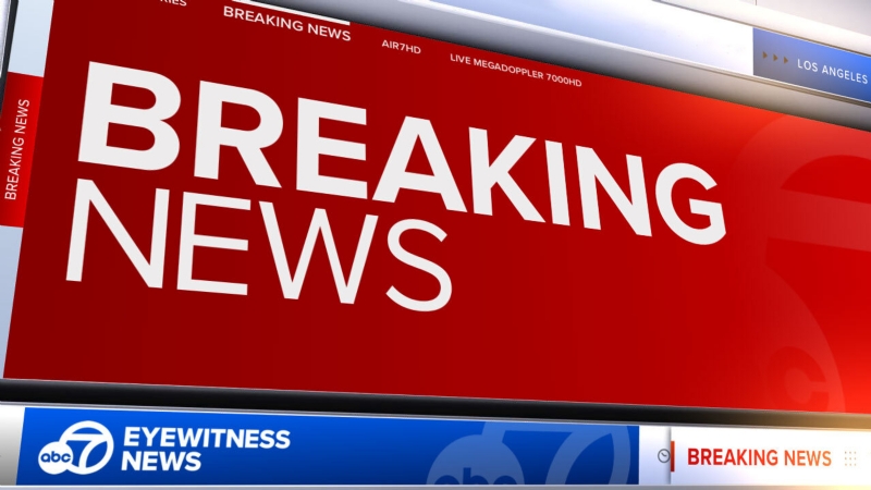 Suspect in custody after person shot in Los Angeles, police say