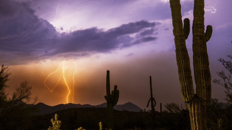 Two hikers were struck by lightning on Humphreys Peak. Why men are at higher risk