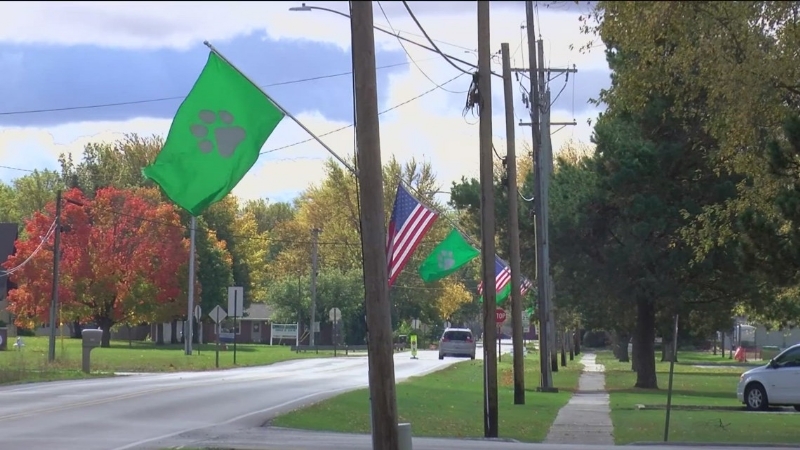Breaking down the impact of the Pike-Delta-York school levy