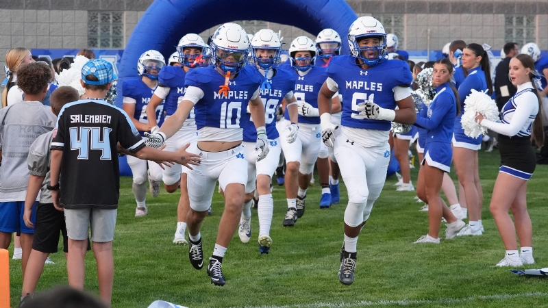 Seven Lenawee County football teams earn a spot in the MHSAA postseason