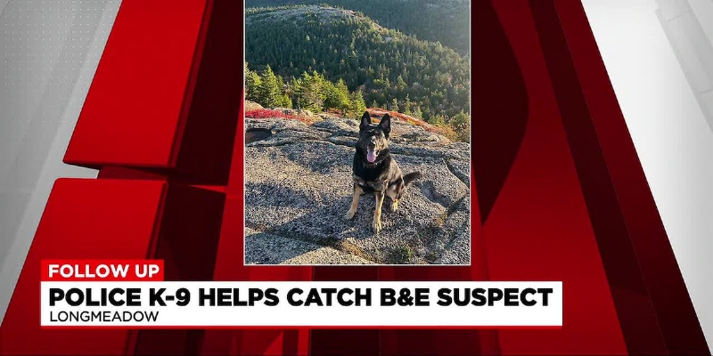 Police K-9 helps catch breaking and entering suspect
