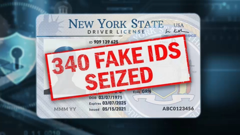 New York State DMV sounds alarm over use of fake IDs fueling identity theft crisis