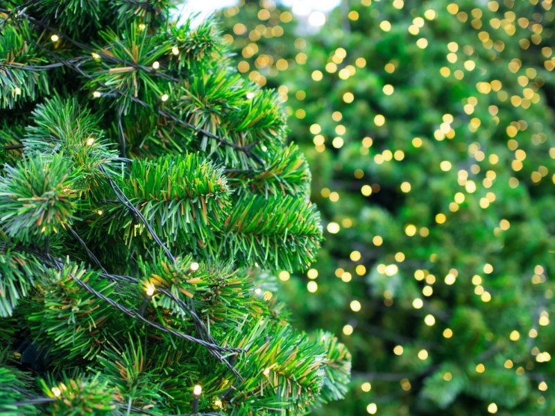 Lenawee County, MI - Community Alert: Christmas Tree Lighting Set for Dec. 1 in Downtown Adrian