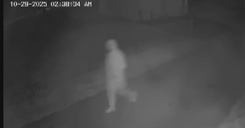 Man accused of breaking into Fayette County woman's home and beating her with tire iron