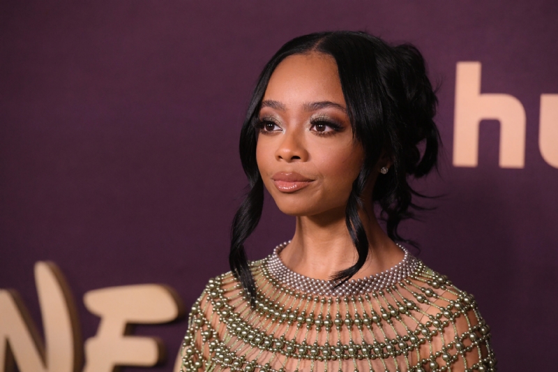 Father Of Skai Jackson's Child Appears To Post Egregiously Nasty Comments About Her Following Pregna