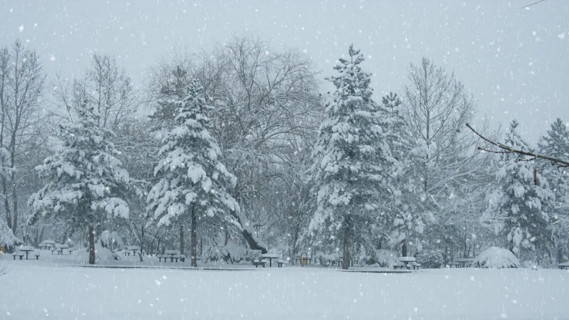 Celebrate the season with White Christmas at Lenawee Christian School