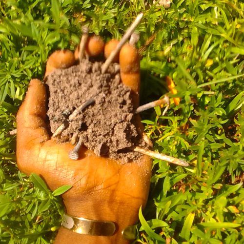 DIAMOND IN THE ROUGH: Barefoot River - "Only God Can Love Me"