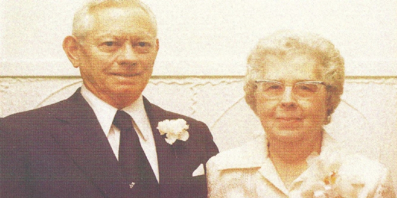 Grants awarded through V.C. and Velma Knight Memorial Fund in Lenawee